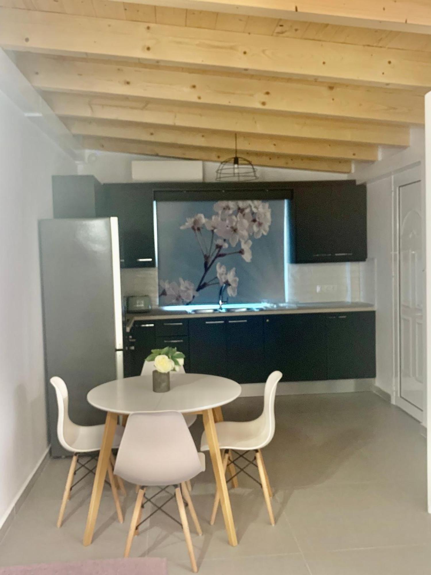 Terpsichore Boutique Appartments 达西亚 外观 照片